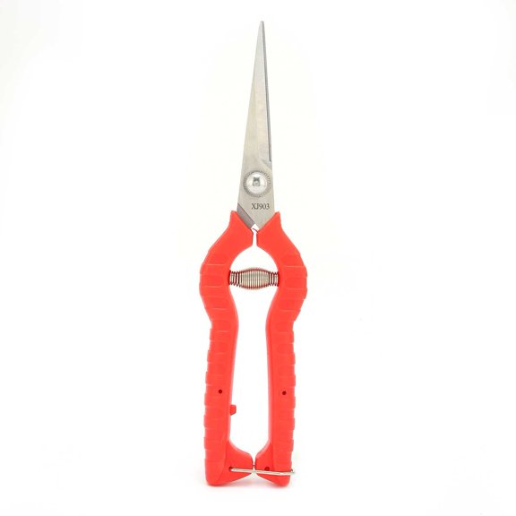 YAHHU Stainless Steel Fruit Picking Pruning Scissors Garden Hand Tool Shears for Tree Branches & Bonsai Trimming (8 inches / 20.5 cm)