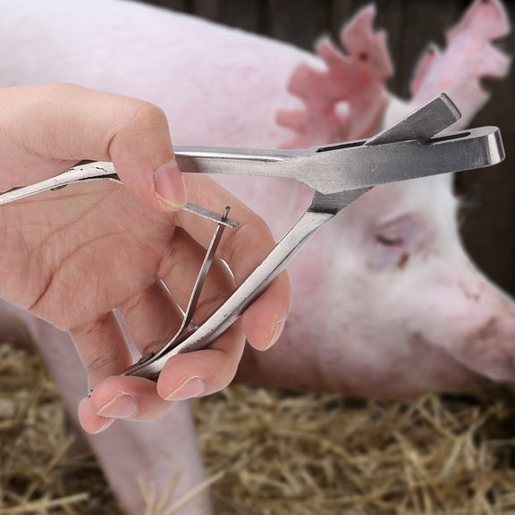 YAHHU Stainless Steel Pig Ear Tag Plier, Livestock Equipment for Farm Animals, U Shaped, 10 inches / 25.4 cm