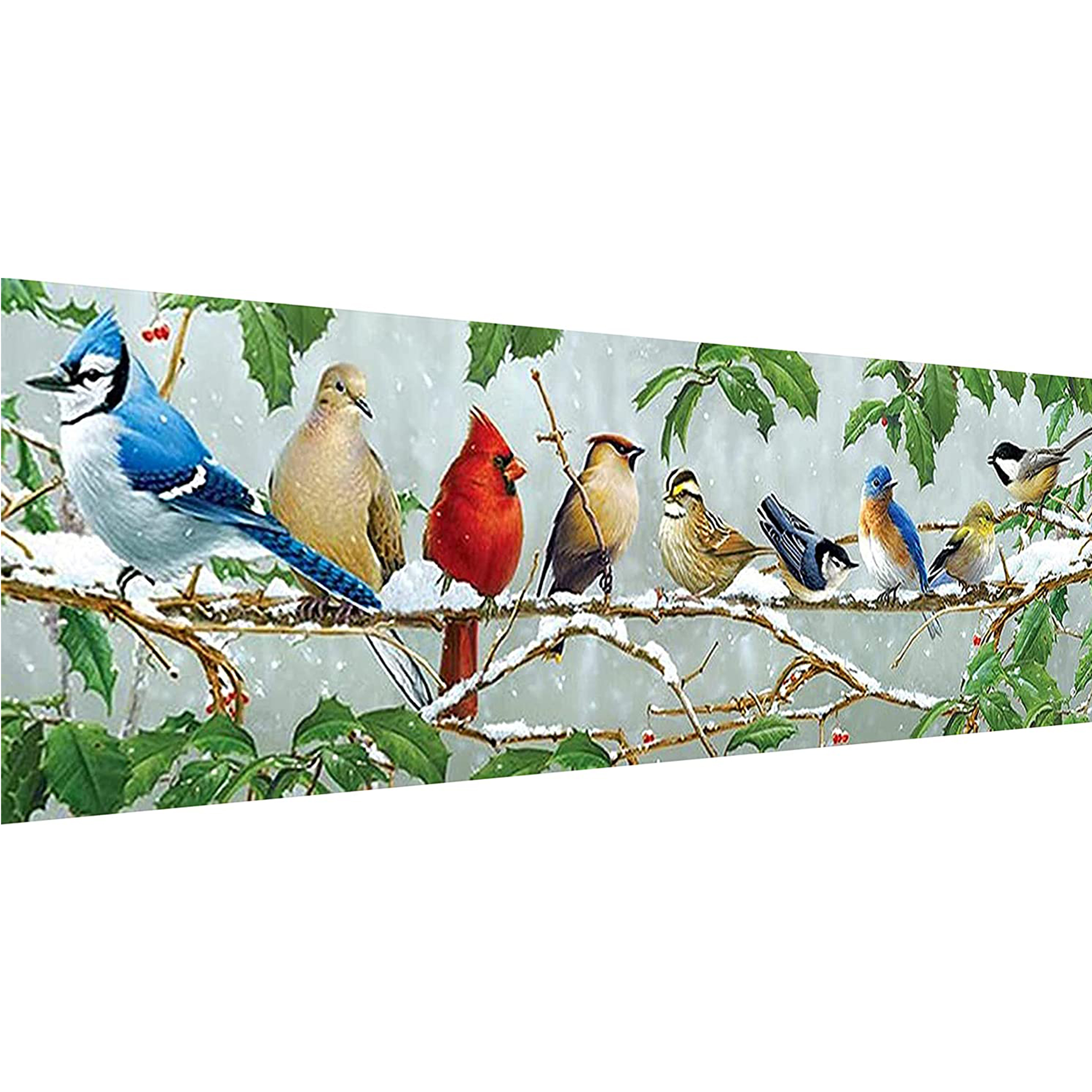 YALKIN 5D Diamond Painting Kits for Adults DIY Large Winter Birds Full  Round Drill (35.4x11.8inch) for Home Wall Decor 