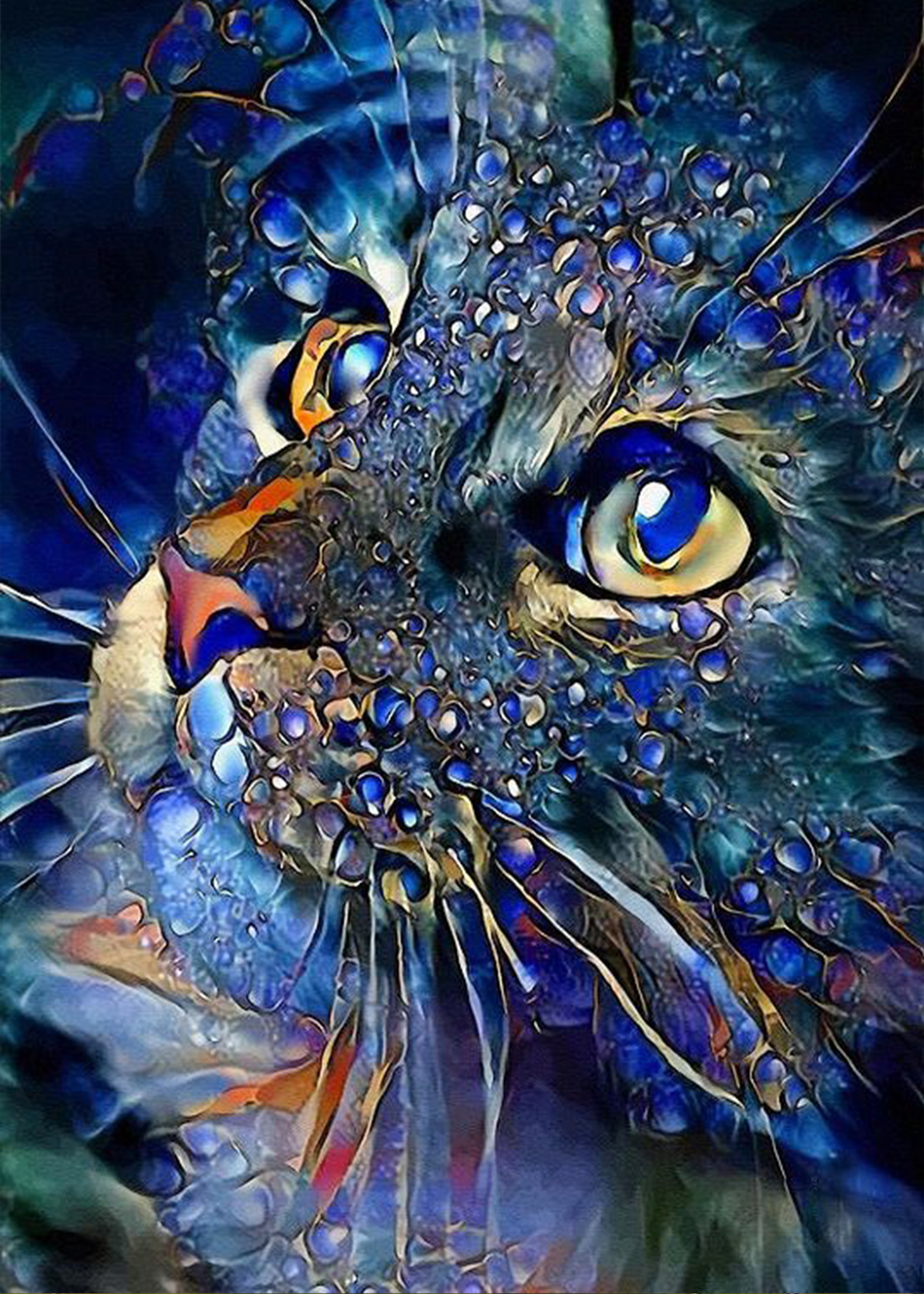YALKIN Cat 5D Diamond Painting Kits for Adults Kids Beginners DIY Full  Round Drill Embroidery Pictures Paint by Diamonds Kits for Home Wall Decor
