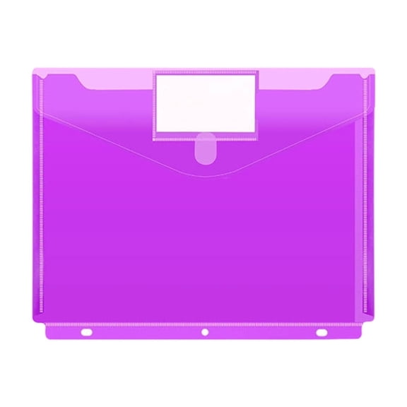 YAMB 3-Hole A4 Document Pouch With Label, Plastic Folder with Snap Closure Label Window and Desk Holes, Lightweight Insert Sleeve for Binders, Clear File Protector for Office Organization