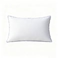 thumbnail image 1 of YAMB Low Profile Sleep Pillow Insert Soft Thin Ergonomic Cervical Support for Stomach and Back Sleepers 24 x 16 Inch, 1 of 5