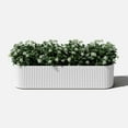thumbnail image 1 of YANG2 Window Box Planter - Long Planter Box for Windowsill/Balcony | Crack-Resistant Plastic & Concrete | Modern Décor for Flowers/Herbs,White, 1 of 10