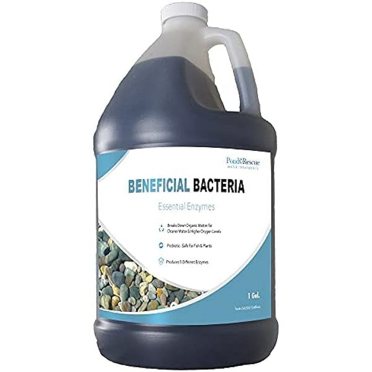 YANG97 Water Treatments Pond YANG97 Beneficial Bacteria Essential