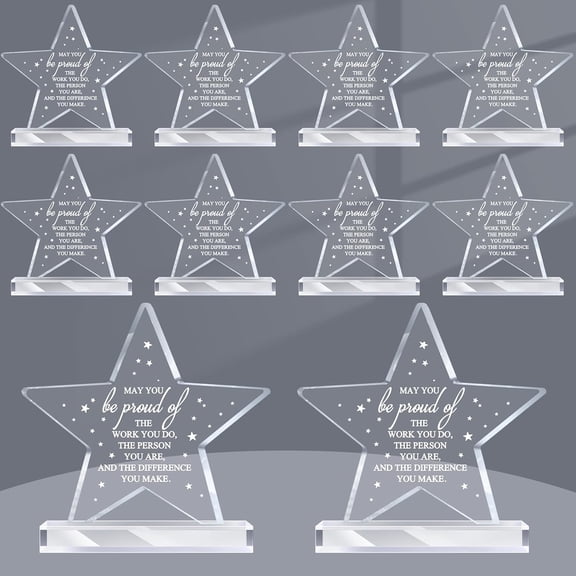 YANGLI 10 Pcs Employee Appreciation Awards – Acrylic Thank You Trophy for Coworker, Star Design