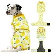 YANGUMGUAN Recovery Suit for Dogs Cats After Surgery, Professional Pet Recovery Shirt Dog Abdominal Wounds Bandages, Substitute E-Collar & Cone, Prevent Licking Dog Onesies Pet Surgery Recovery Suit