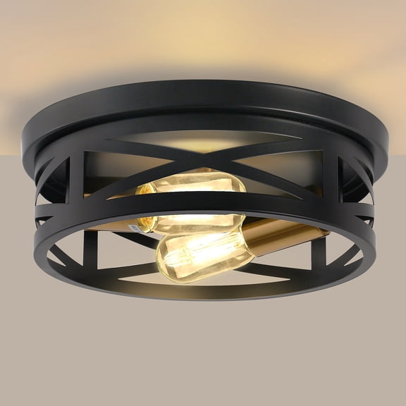 YANSUN 2 Pack Close to Ceiling Light Fixtures, 2-Lights Flush Mount Ceiling Light, 10 Inch Indoor Metal Cage Semi Flush Mount Ceiling Light for House Bedroom Laundry Hallway Kitchen