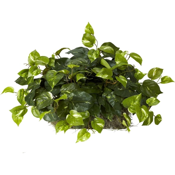 YANTONG 15in. Pothos Ledge Plant (Set on Foam) Silk Plant,Green