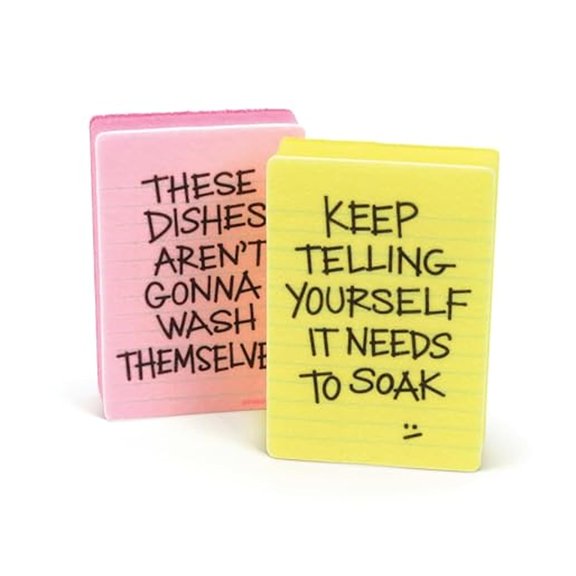 YANTONG Clean Conscience Kitchen Sponges Set of 2 Passive-Aggressive Dish Sponges with Funny Notes Multi-Layer Scrubbers for Dishes and Mess Fun Gift for Households
