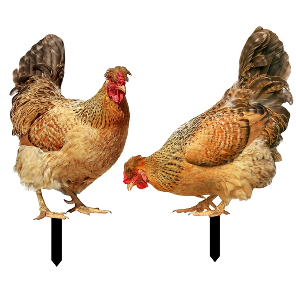 YARNOW 2Pcs Acrylic Yard Chicken Signs Realistic Chicken Stakes Chicken ...