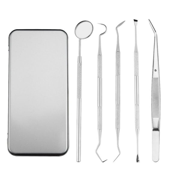 YATLTE Dental Teeth Pick Stainless Steel Toothpick Set, Reusable Metal Toothpicks Cleaning Kit with Holder for Outdoor Picnic Camping Traveling (5PCS/Set)