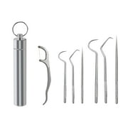 YATLTE Portable Stainless Steel Toothpicks Pocket Set, Reusable Tooth Stains Remover Dental Tool Teeth Cleaning Tools with Holder for Outdoor Picnic, Camping, Travel