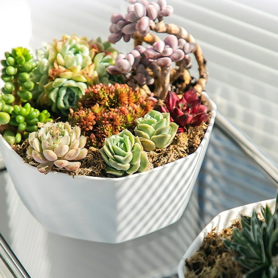 YAZHPA Decorative Indoor Plastic Planter with Drainage Plastic Plant Pots For Plants With Saucers Indoor With Hole For All House Plants Herbs Flowers And Seeding Nursery
