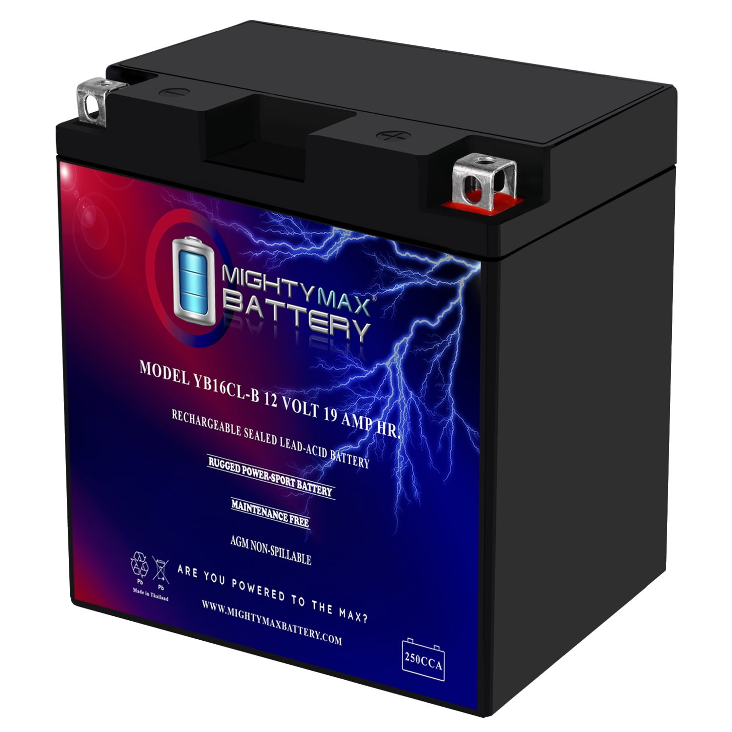 YB16CL-B -12 Volt 19 AH, 250 CCA, Rechargeable Maintenance Free SLA AGM Motorcycle Battery