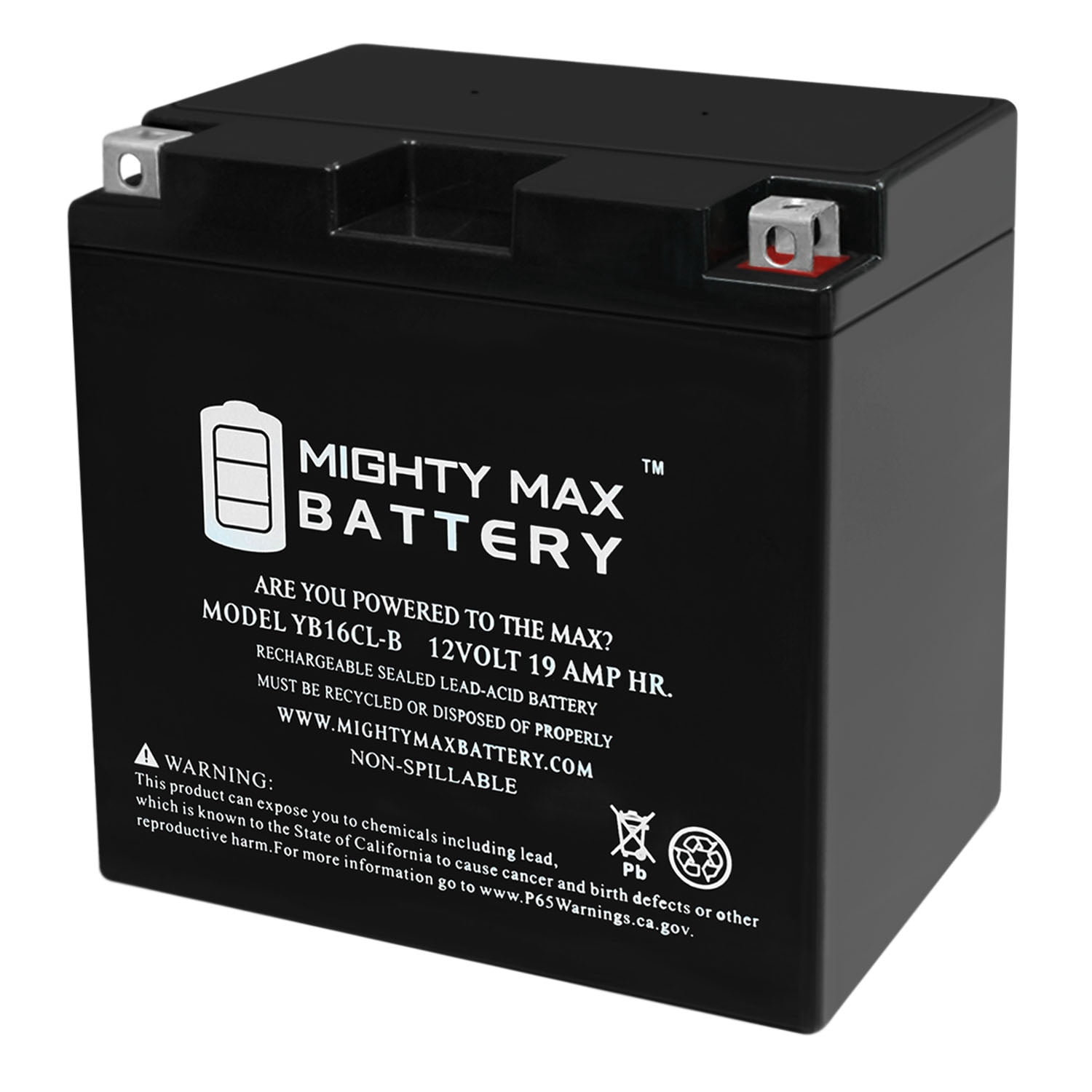 YB16CL-B 12V 19AH SLA Replacement Battery Compatible with Polaris SLT 750 95