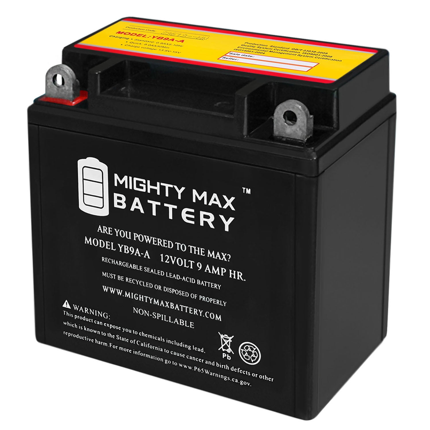 YB9A-A -12 Volt 9 AH, 130 CCA, Rechargeable Maintenance Free SLA AGM Motorcycle Battery