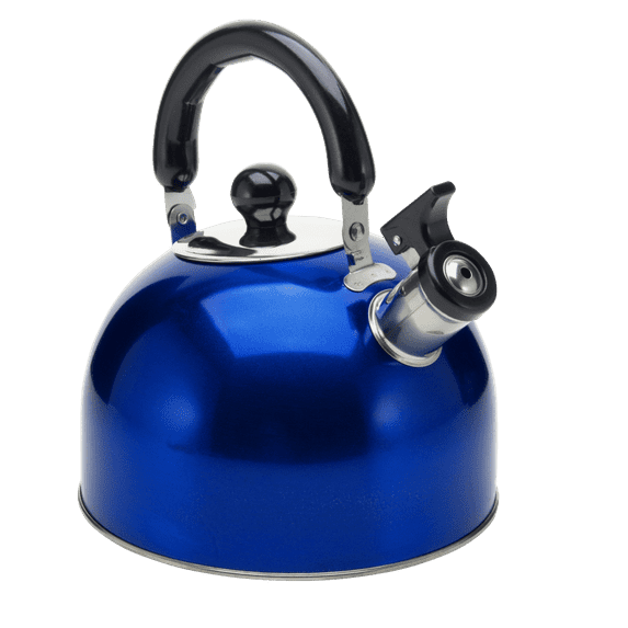 YBM Home Stainless Steel Stovetop Whistling Tea Kettle 3L with Handle, Induction Compatible - Blue