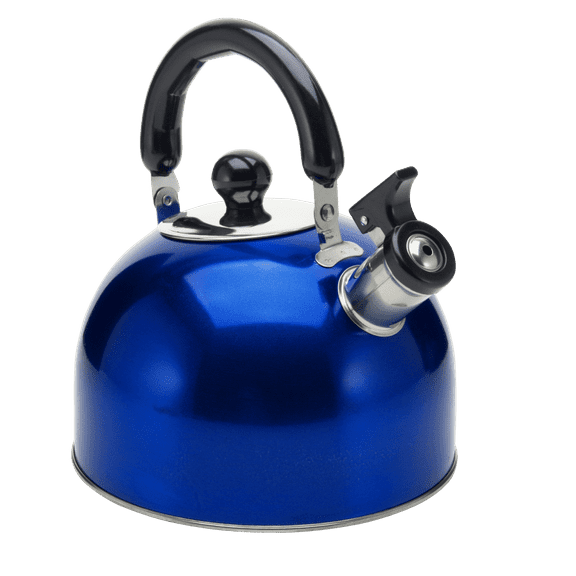YBM Home Stainless Steel Stovetop Whistling Tea Kettle 3L with Handle, Induction Compatible - Blue