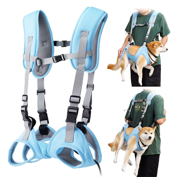 YCCMML Dog Carriers for Small Dogs & Cats, Ergonomic Spine Protecting Backpack with Mesh