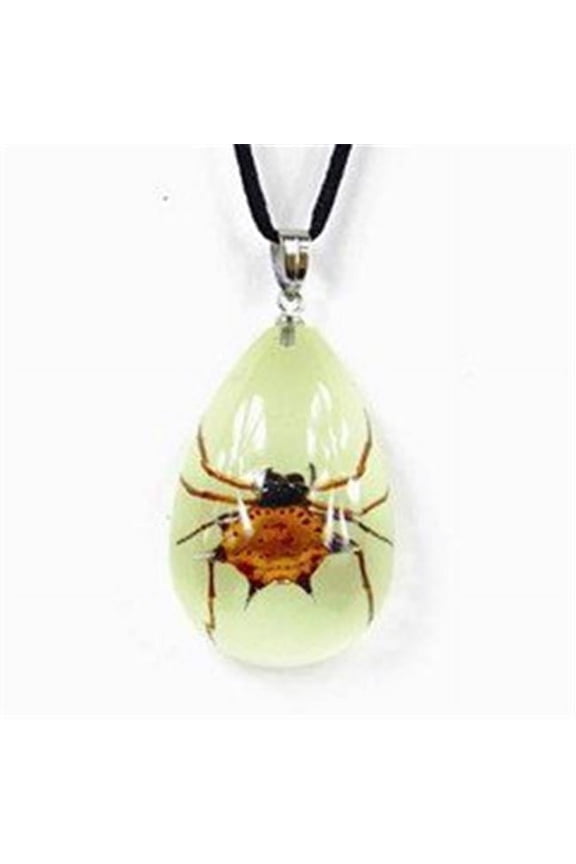 YD1102 Real Bug Necklace-Spiny Spider
