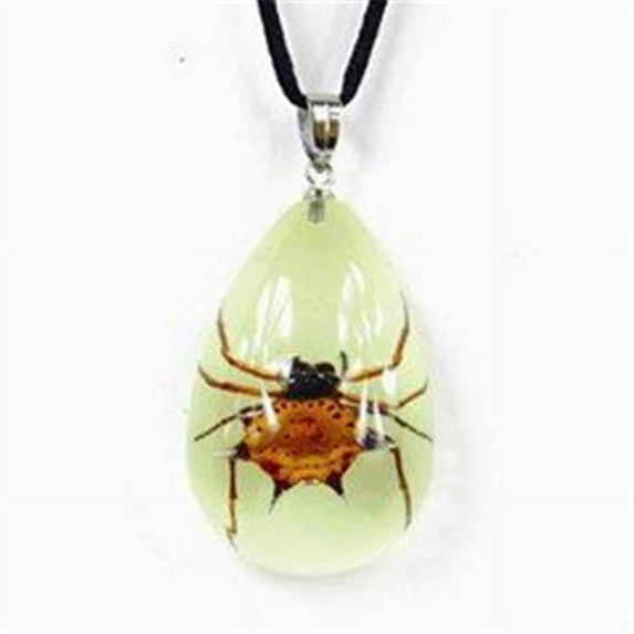 YD1102 Real Bug Necklace-Spiny Spider