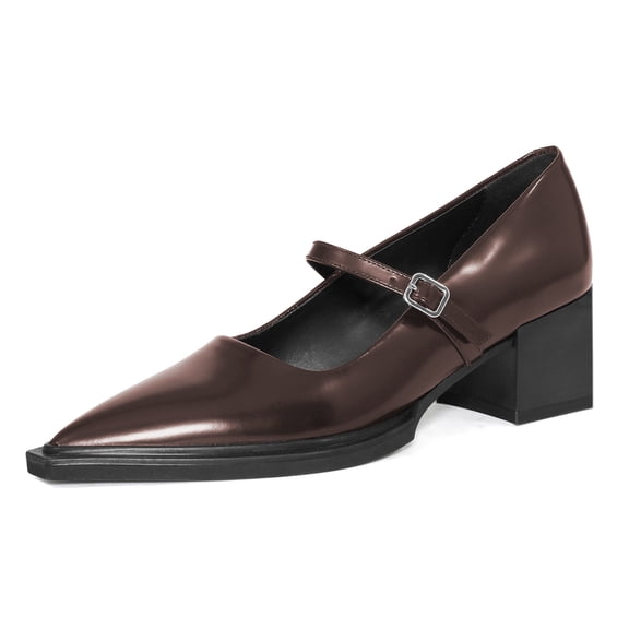 YDN Womens Chic Block Low Heel Mary Jane Closed Pointed Toe Adjustable Buckled Strap Pumps Daily Party Dress Shoes Size 10.5 Brown