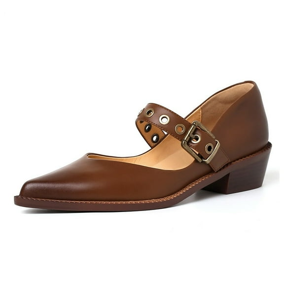 YDN Womens Comfy Pointed Closed Toe Low Block Heel Pumps Strap Buckle Mary Jane Shoes Casual Daily Dress Size 8.5 Brown