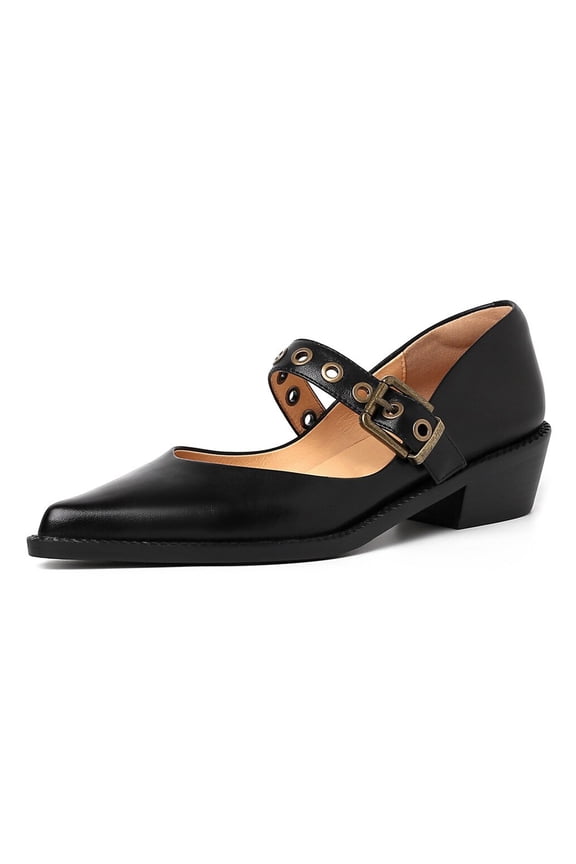 Womens Comfy Pointed Closed Toe Low Block Heel Pumps Strap Buckle Mary Jane Shoes Casual Daily Dress Size 9 Black