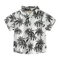 thumbnail image 1 of YDOJG T-Shirts For Boys Little & Big Button Down Hawaii Shirts Short Sleeve Tropical Shirt Tops For 4-5 Years, 1 of 7