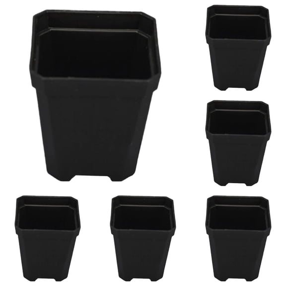 YDYB 5Pcs Small Succulent Pots, 2 Inch Plastic Succulent Pots with Drainage Hole and Prevent Root Rot, Beginner Friendly for Indoor Gardening and Windowsill Plants, Black