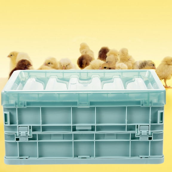 YEAHIBABY 1Set Plastic Parrot Brooder Box with USB Heating Pad Foldable Safe Incubator for Home Use