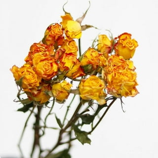Real Dried Flower For Aromatherapy Candle DIY Epoxy Resin Craft Dried Plants