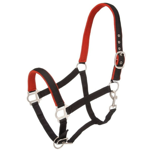 YEARLING HALTER SATIN/SNAP/PAD