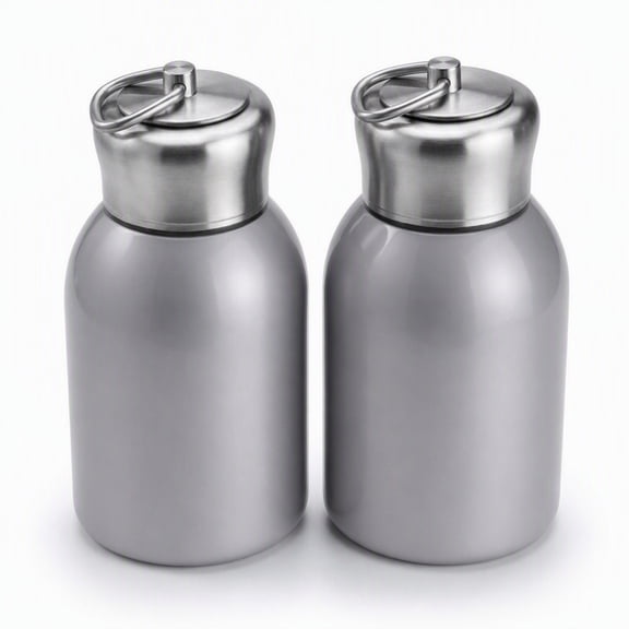YEMNPIOS Insulated 10 oz Silver Stainless Steel Water Bottles 2 Count