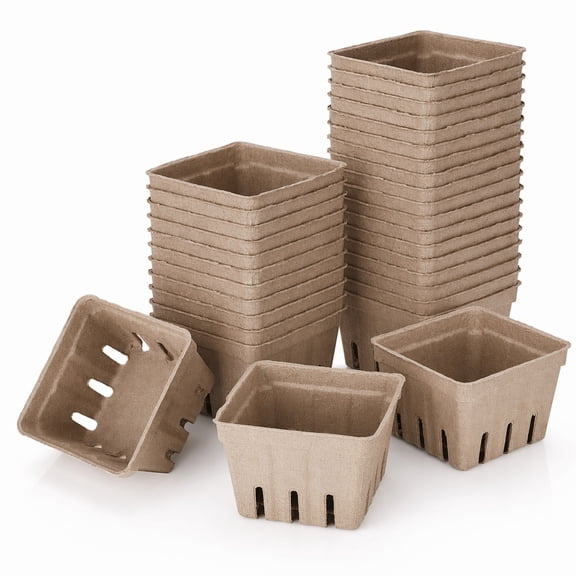 YEMNPIOS 20 Pcs Natural Pulp Fiber Berry Basket 1 Pint 4.3 x 4.3 x 3 Inch for Fruits Vegetables Storage Display