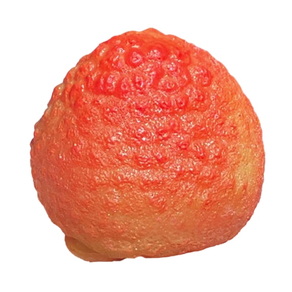 YEPGAR Giant Realistic Litchi Pressable Dragon Anti Stress Toy Slow Rise Textured Elastic Hand Relax Gadget Bulk Party Favors Office Desktop Calming Supplies (C, One Size)