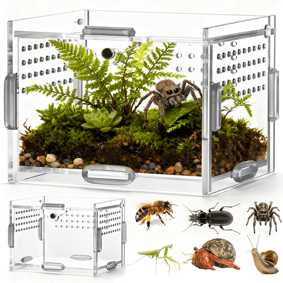YESGIRL Jumping Spider Enclosure Accessories,3.93''x3.15''x2.75'' Acrylic Clear Reptile Terrarium for Spiders, Mantises, Tarantulas & Frogs