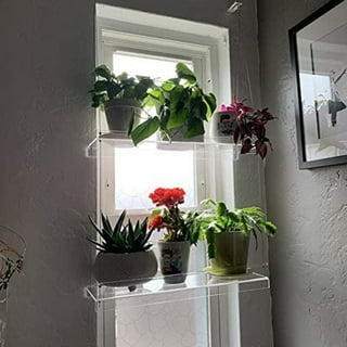 https://i5.walmartimages.com/seo/YEUHTLL-Transpaent-Acrylic-Window-Plant-Shelves-2-3-Layers-Clear-Hanging-Floating-Wall-Shelf-Flower-Pot-Rack-Planter-Stand-Decor_b5e9d7ed-0115-4df3-aa4c-7b6a5c07b813.f0c7861819453816ce4e653d1ba061e4.jpeg?odnHeight=320&odnWidth=320&odnBg=FFFFFF