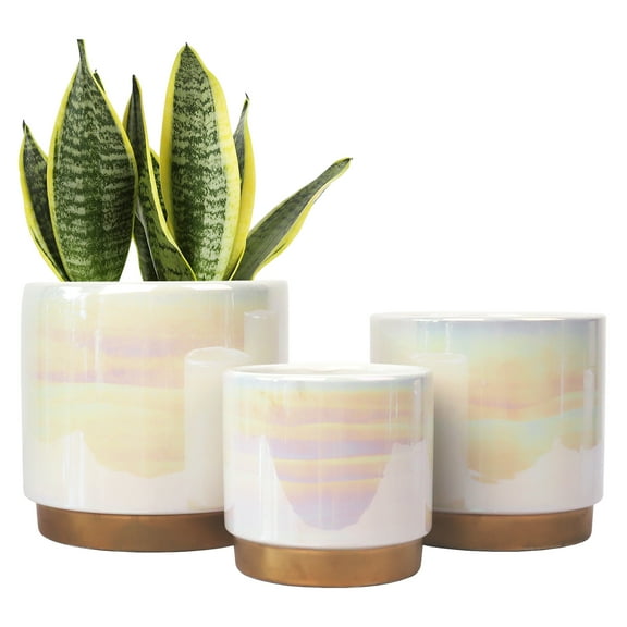 YFFSRJDJ White Plant Pots for Indoor Plants, Ceramic Planter with Drainage Hole, 6.0 inch+5.0 Inch+4.0 Inch. Succulent Orchid Flower Pot