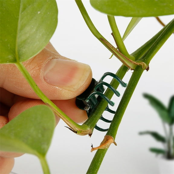 YFGEFTR 20 Pcs Plant Clips Orchid Clips Plants Orchid Support Clips Flower Vine Clips for Supporting Stems Vines Stalks Climbing Plant Grow Upright