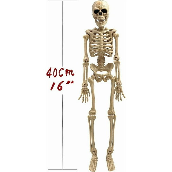 YFTDEF Realistic Movable Skeleton Decoration, 16 Inch Adjustable Joints, Spooky Halloween Decor, Ideal for Haunted Houses and Graveyards, Great for Parties and Artwork