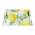 thumbnail image 1 of YFYANG Washable Heat-Resistant Placemats, 70% PVC/30% Polyester, Fruit Lemon Art Pattern Kitchen Table Mat, 12" x 18" 1 Piece, 1 of 6