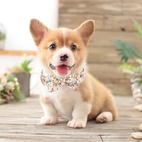 YHAICO Pet Collars for Dogs Pet Collar Charms Valentine's Day Dog Collar with Flower,Rose Valentine Dog Collar Holiday Soft Cotton Puppy Collar for Small Medium Large Dog