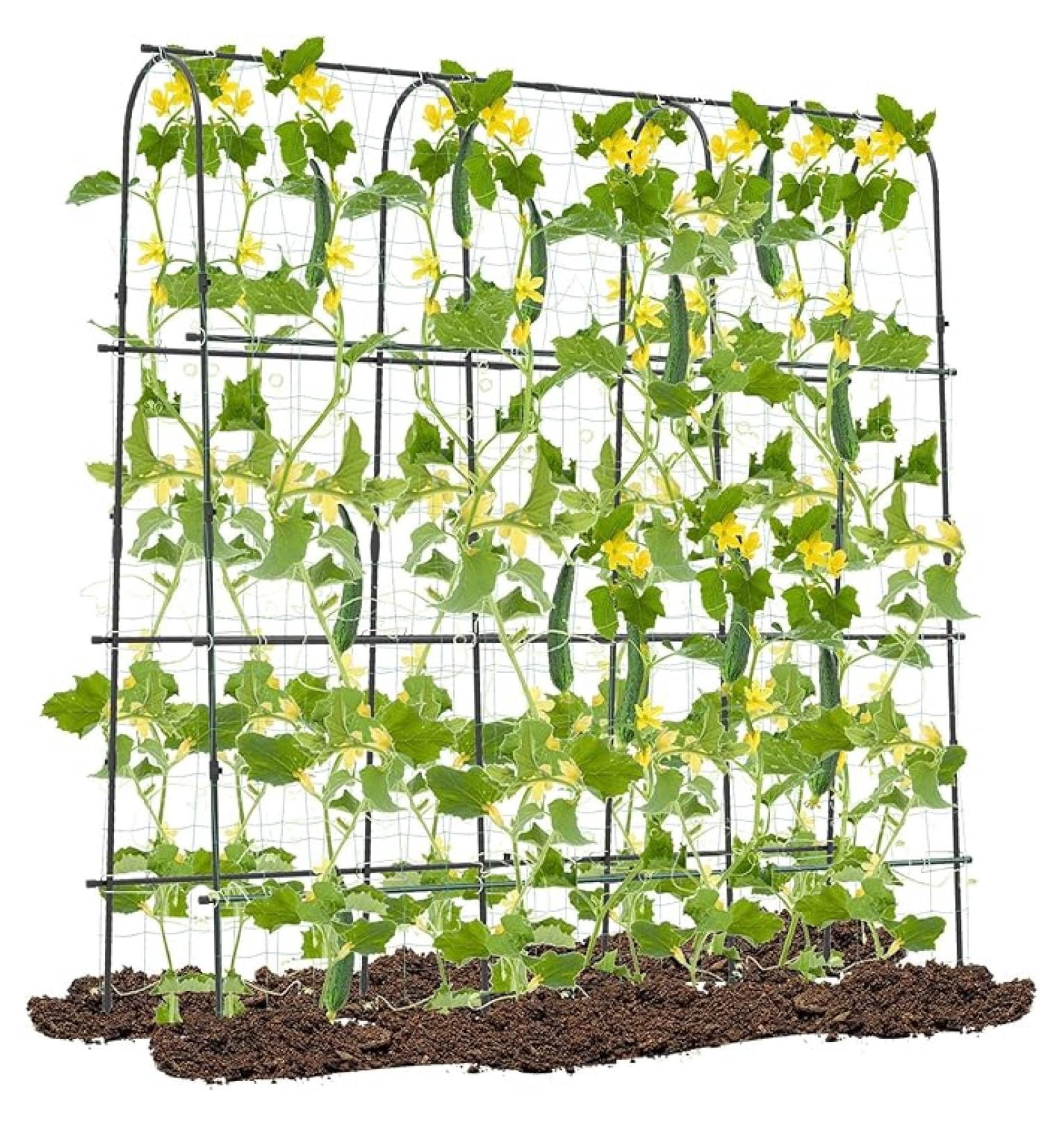 YHKJ 71" x 71" Cucumber Trellis for Raised Bed, Garden Arch Trellis Metal Plant Support Frame with Netting, Sure-Clips & Ground Stakes, U-Shaped Garden Trellis for Climbing Plants Outdoor