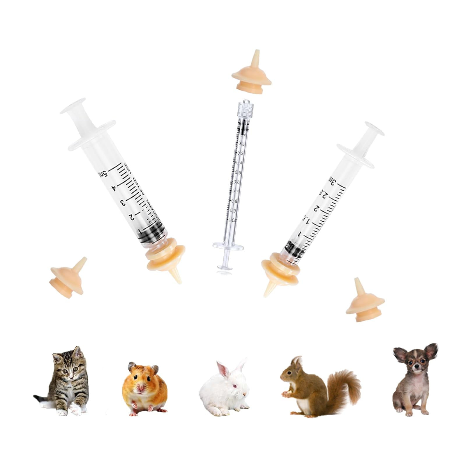 Rearing Kittens How To Syringe Feed A Kitten Feeding Cat Syringe