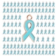 thumbnail image 1 of YIEMEEN 100x/set Cancers Awareness Charm Mixed Color Ribbon Pendants Awareness Ribbon Charm Jewelry Findings DIY Project, 1 of 21