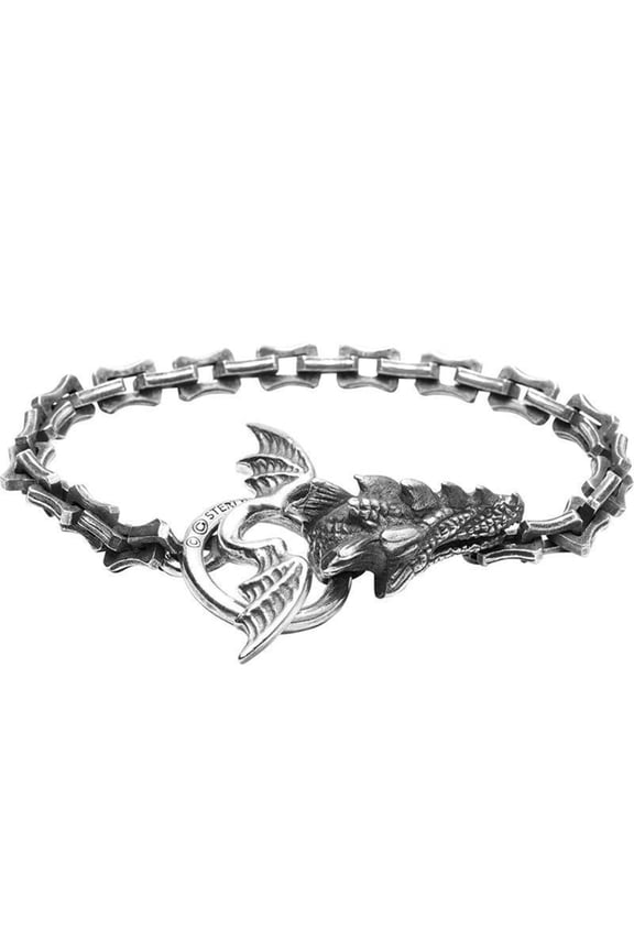 YIEMEEN Gothic Style Dragon Bone Bracelet Dragon Head Bracelets Dragon Chain Bracelets