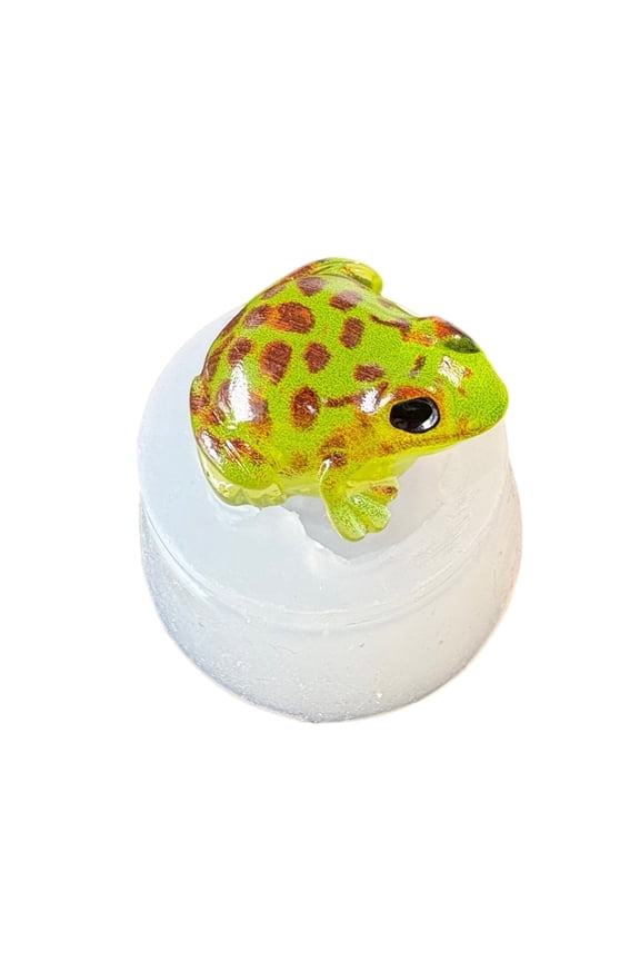 YIEMEEN Multi Use Frogs Silicone Mold For Resin Keychains Candle Soap Making Craft Projects