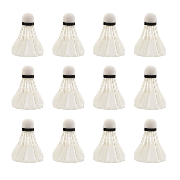 YIFAEUX 12Pcs Professional Badminton Shuttlecocks Tournament Grade Training Badminton Shuttlecocks High Speed Stable Flight Sport Accessories