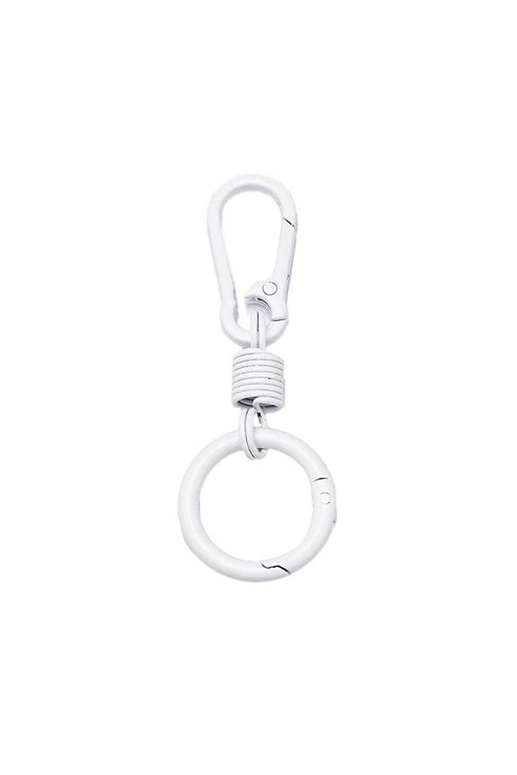 Heavy Duty Metal Carabiner Keychain Portable Lightweight Belt Backpack Hanging Key Chain Outdoor Car Home Keys Ring Clip Holder Organizer